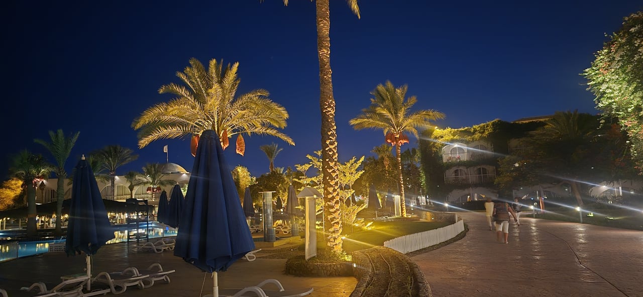 Gartenanlage Desert Rose