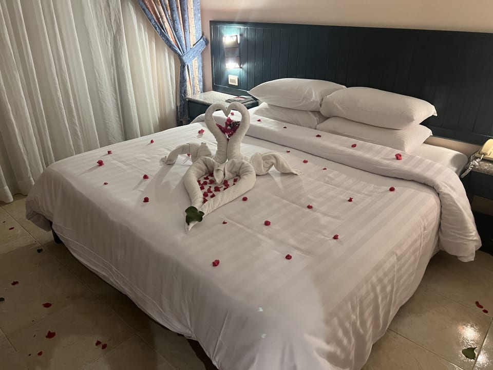 Zimmer Palm Beach Resort