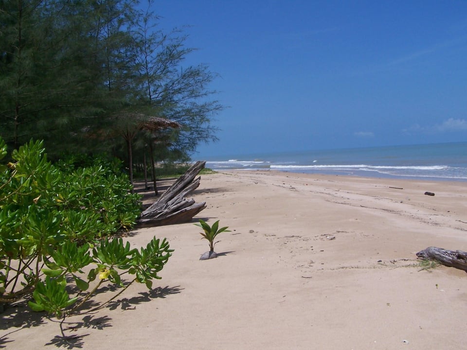 Traumhaft leer - und schön Khaolak Orchid Beach Resort
