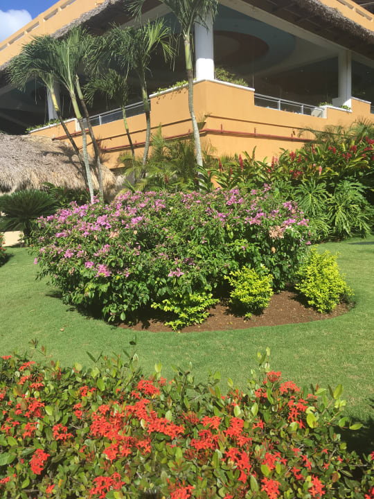 Gartenanlage Hotel Viva Dominicus Palace by Wyndham-All Inclusive Resort