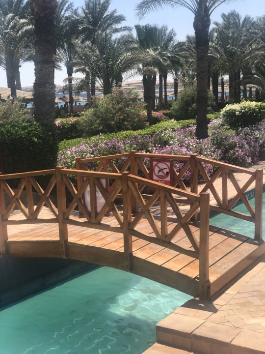 Pool Fort Arabesque Resort, Spa & Villas