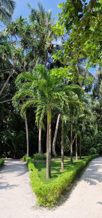 Gartenanlage Adaaran Select Meedhupparu Island Resort - Premium All Inclusive