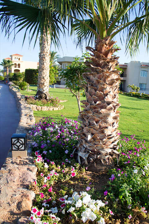 Gartenanlage Pickalbatros Royal Moderna Resort-Sharm El Sheikh