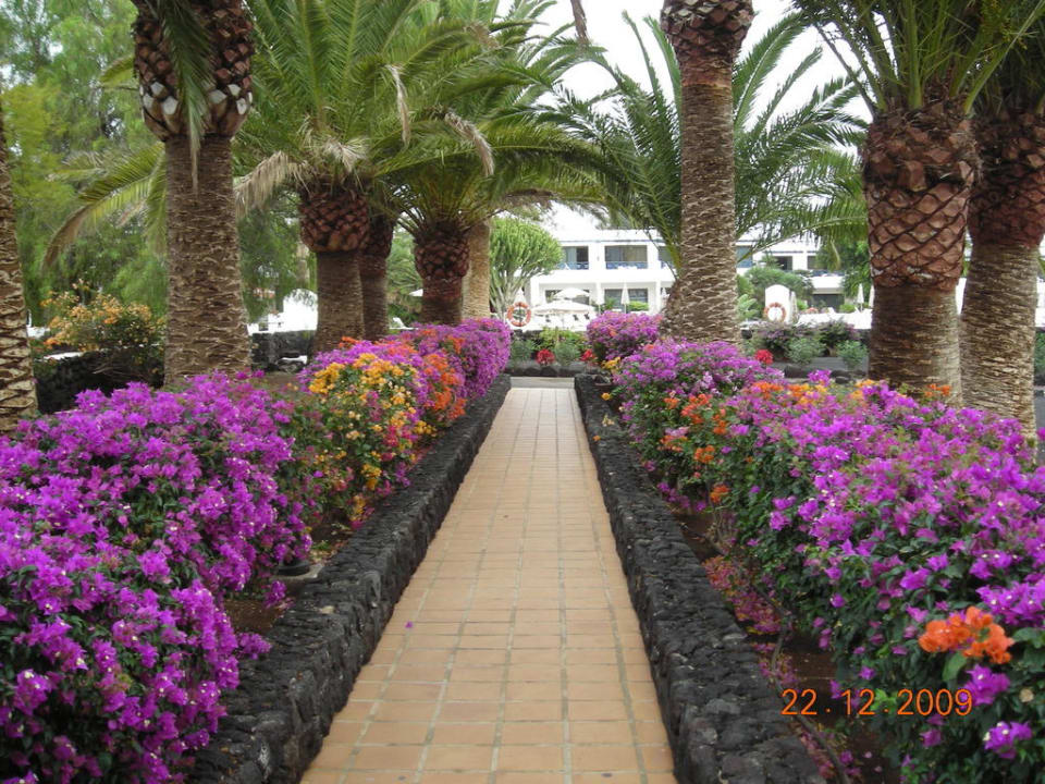 Sehr schöner Garten Relaxia Olivina