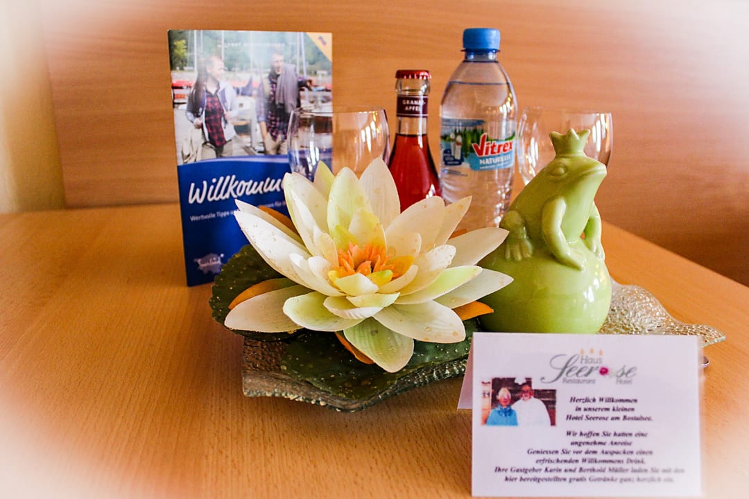 Zimmer Hotel Seerose Bostalsee Garni