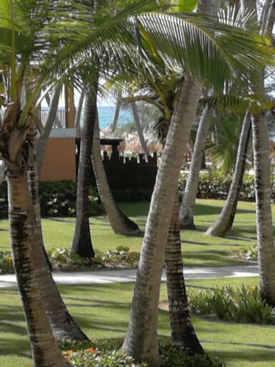 Garten Grand Palladium Punta Cana Resort & Spa
