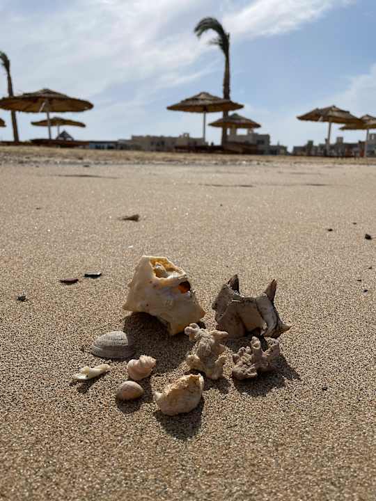 Strand True Beach Village