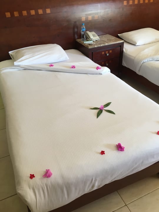 Zimmer Shams Prestige Abu Soma-Adults Only