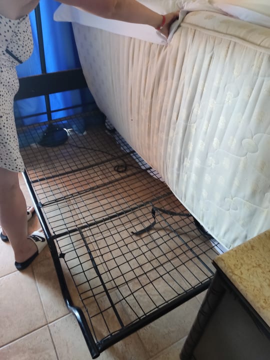 Zimmer Parrotel Aqua Park Resort