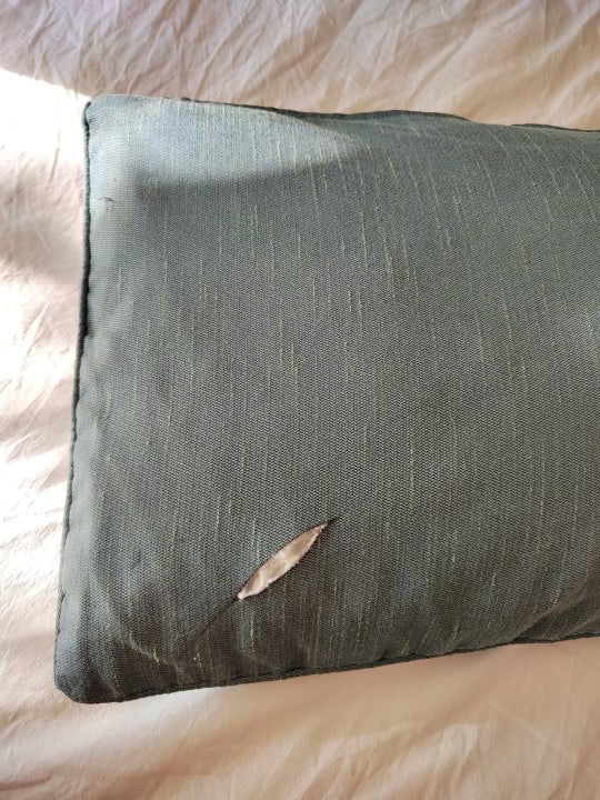 Sonstiges Kamelya Aishen Club