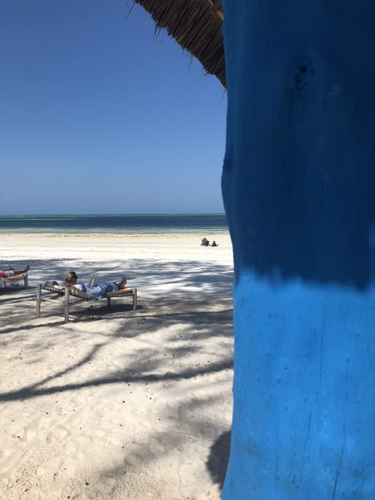 Strand Hotel Kiwengwa Beach Resort