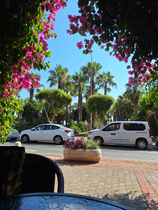 Sonstiges Gardenia Hotel