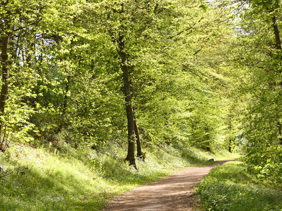 Sport & Freizeit Hotel Spessarter Hof