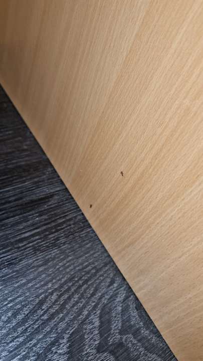 Sonstiges PLAZA INN Heilbronn