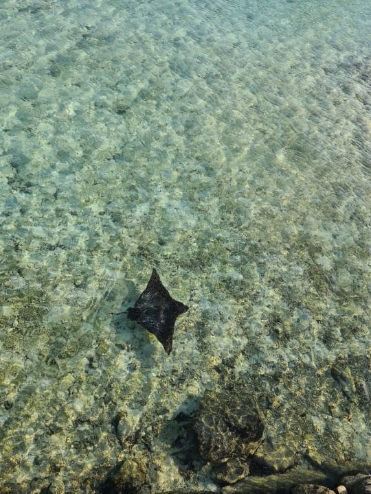 Strand Cinnamon Hakuraa Huraa Maldives - Adults-Only