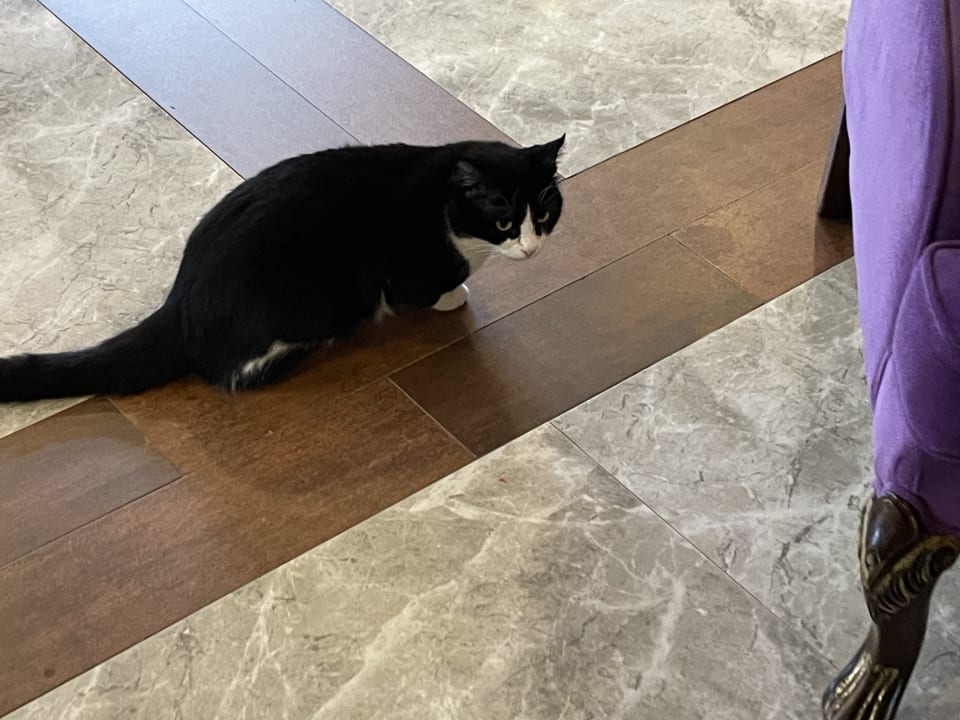 Sonstiges Limak Limra Hotel & Resort