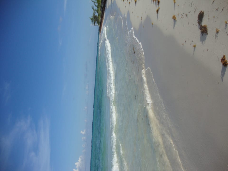 Hotel Catalonia Playa Maroma Catalonia Playa Maroma