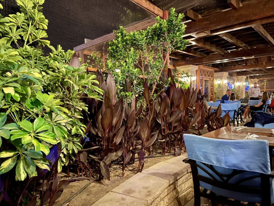 Gastro Palm Royale Resort - Soma Bay