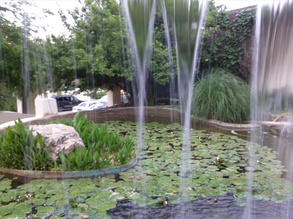 Eingangsbereich - Froschdomizil Club Resort Atlantis