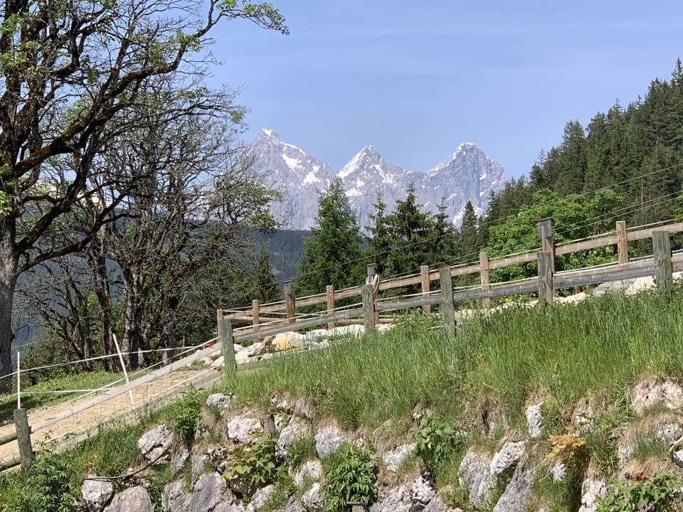 Ausblick Die Seitenalm