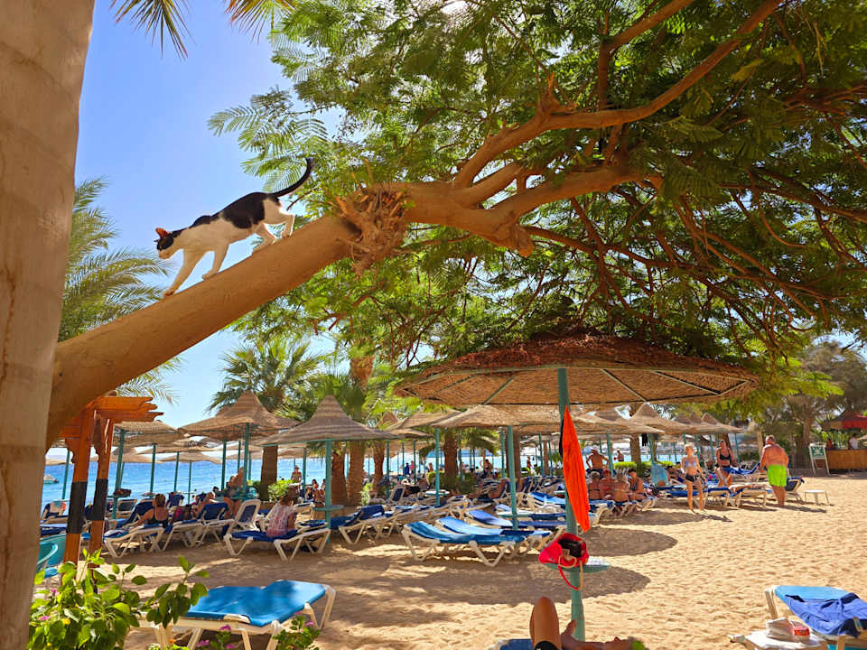 Strand Bella Vista Resort Hurghada