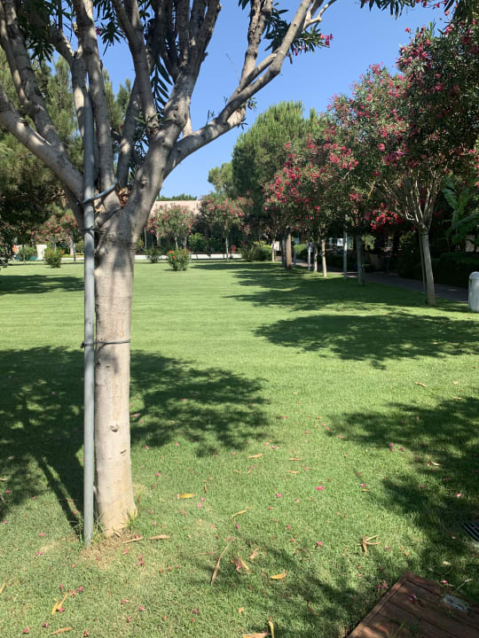 Gartenanlage Gloria Serenity Resort