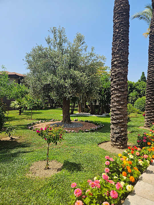 Gartenanlage TUI BLUE Palm Garden