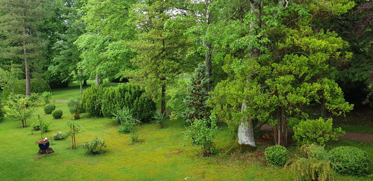 Gartenanlage Haus am Kurpark