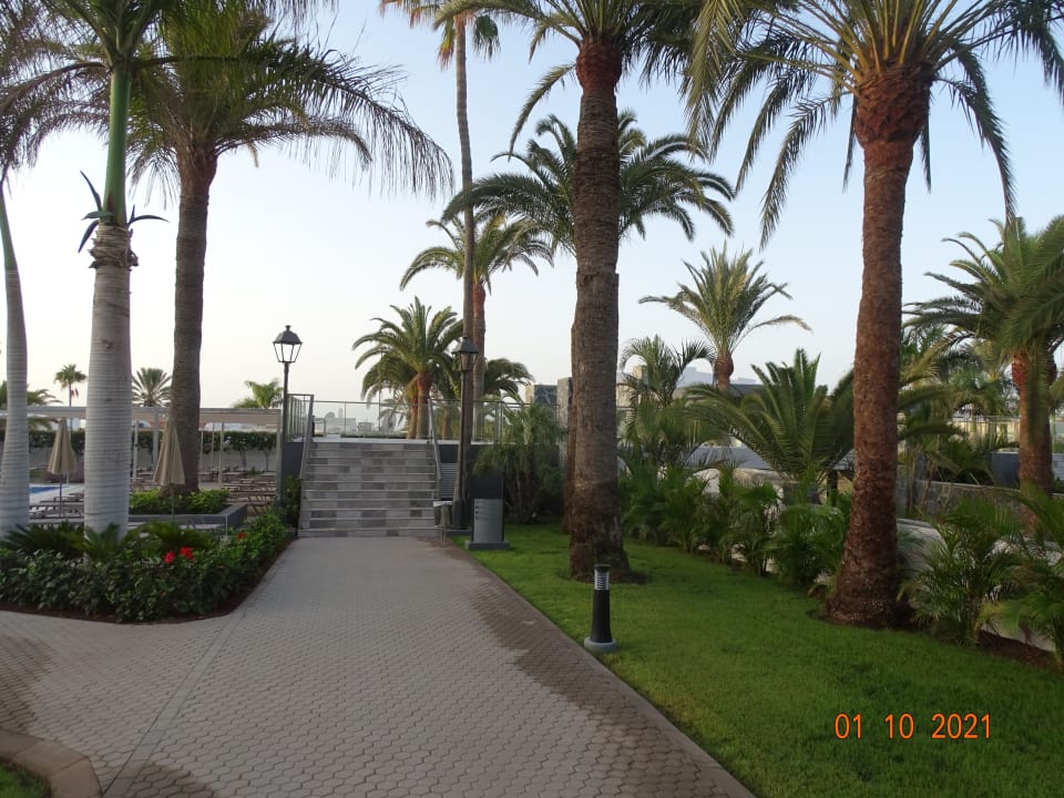 Gartenanlage Hotel Riu Palace Maspalomas Adults Only