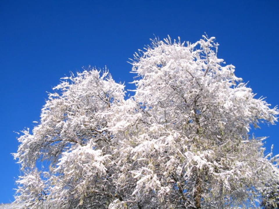 Winter vor dem Hause Hotel Nussbaumhof