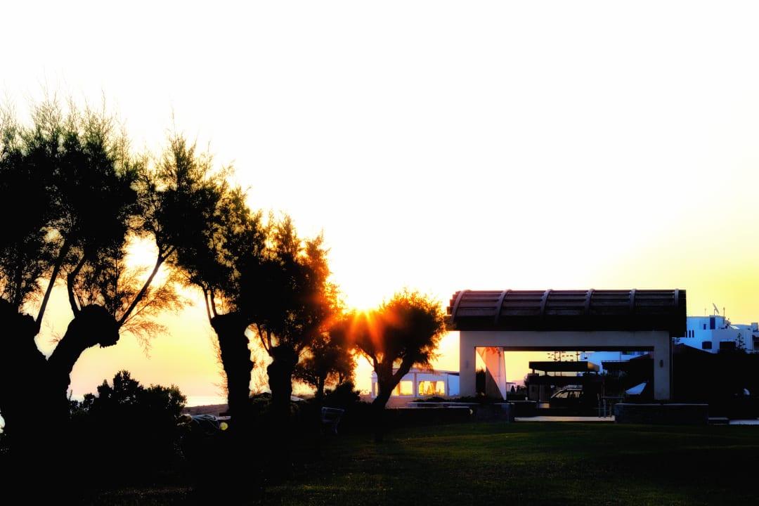 Gartenanlage Calimera Sirens Beach