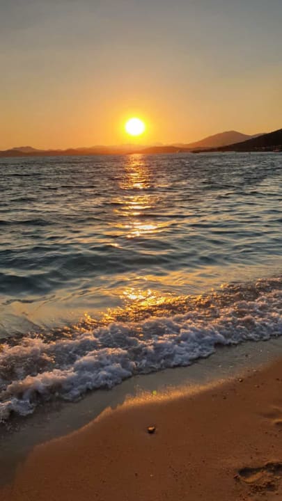 Ausblick TUI MAGIC LIFE Bodrum - Adult Only (16+)