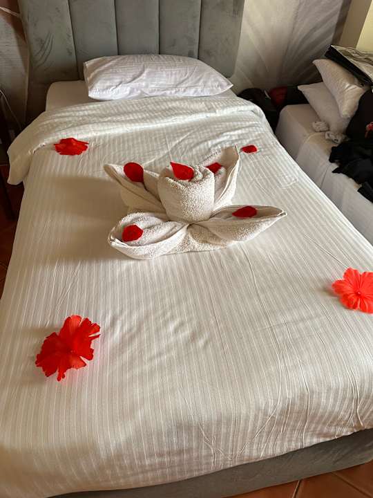 Zimmer Three Corners Sea Beach Resort