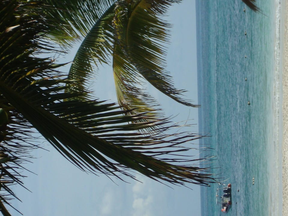 Hotel Catalonia Playa Maroma Catalonia Playa Maroma