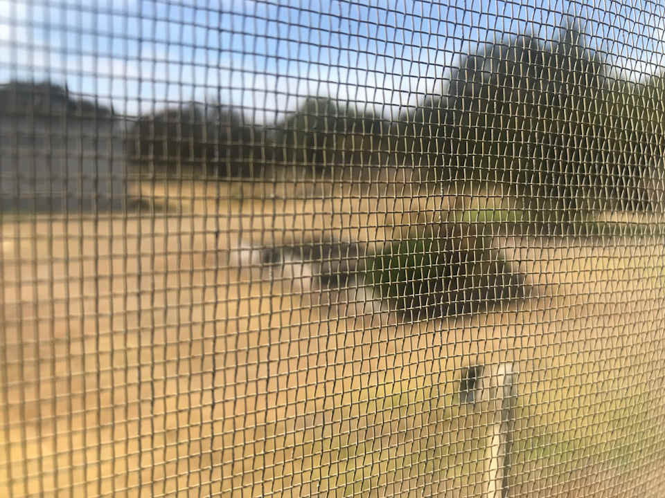 Ausblick Ravensthorpe Motel