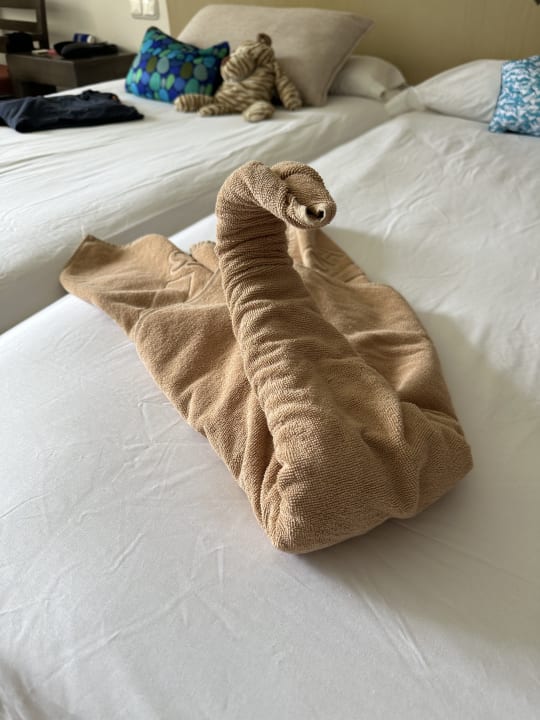 Zimmer SBH Hotel Taro Beach