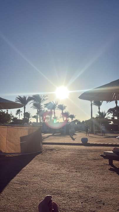 Strand Pharaoh Azur Resort