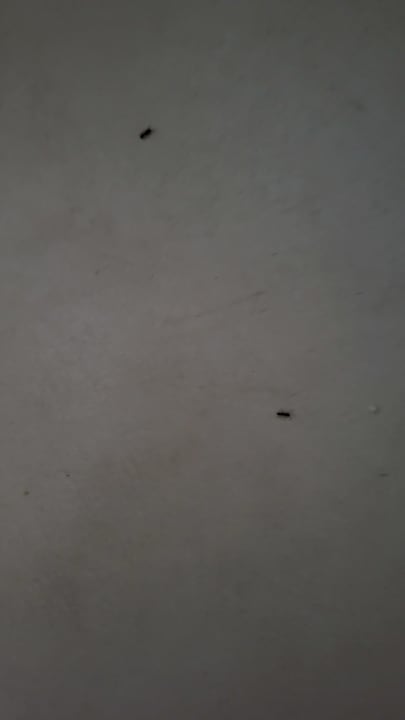 Zimmer Blue Lagoon Resort