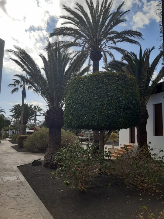 Außenansicht allsun App.-Hotel Albatros