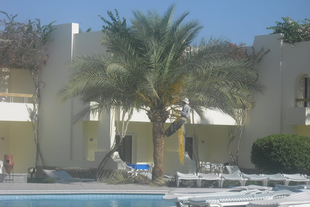 Anlage Palm Beach Resort