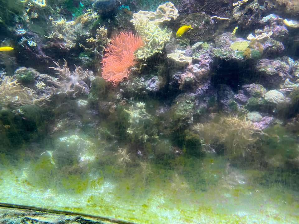 Pool Center Parcs De Kempervennen