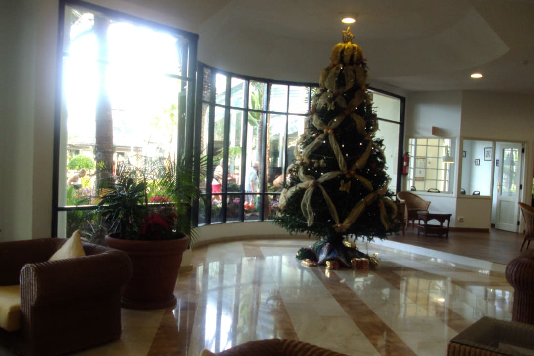 Spiele-und Leseraum H10 Las Palmeras