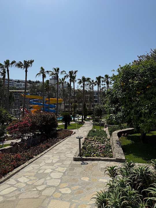 Gartenanlage Arum Barut Collection