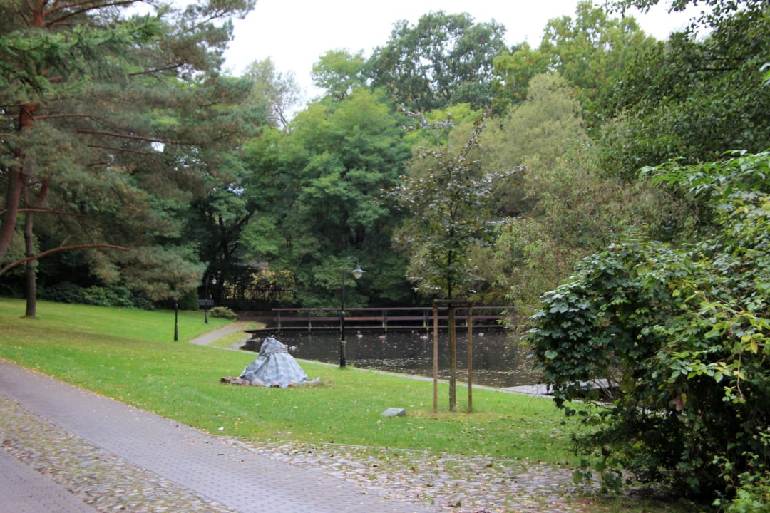 Parklandschaft mit Teichen Hotel Springbach-Mühle