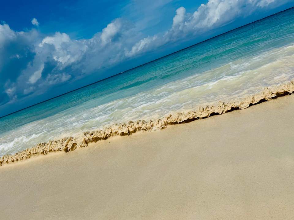 Strand Paradisus Rio de Oro Resort & Spa - Adults only