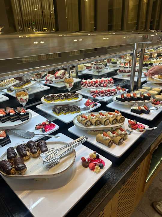 Gastro Seashell Vega