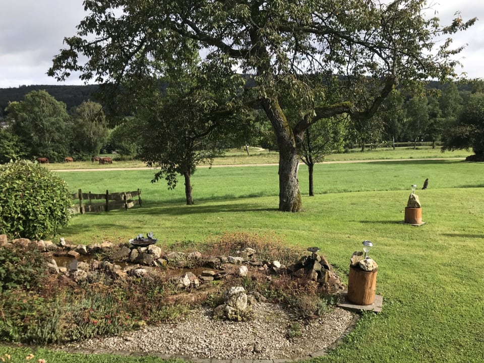 Ausblick Fewo Juwel