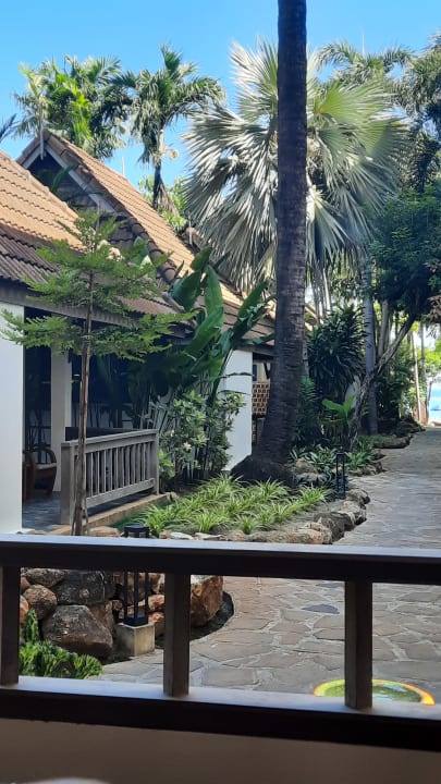 Zimmer Samui Natien Resort