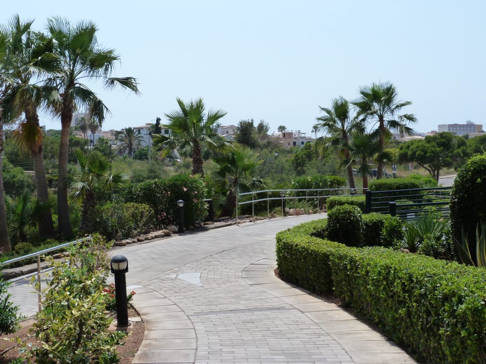 Garten Blau Colònia Sant Jordi