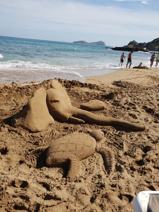 Strand Invisa Figueral Resort Cala Blanca